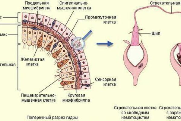 Kraken вход зеркало